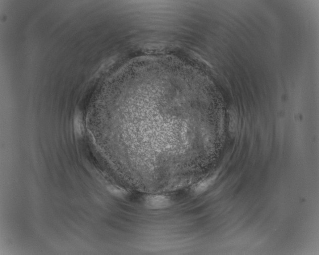 X0000070340287200606231540