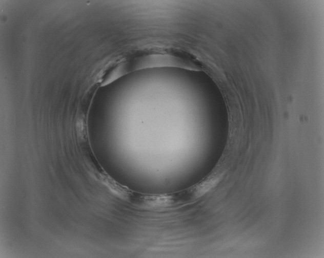 X0000070340288200606231540