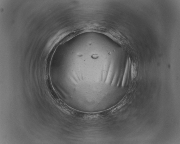 X0000070340291200606231539