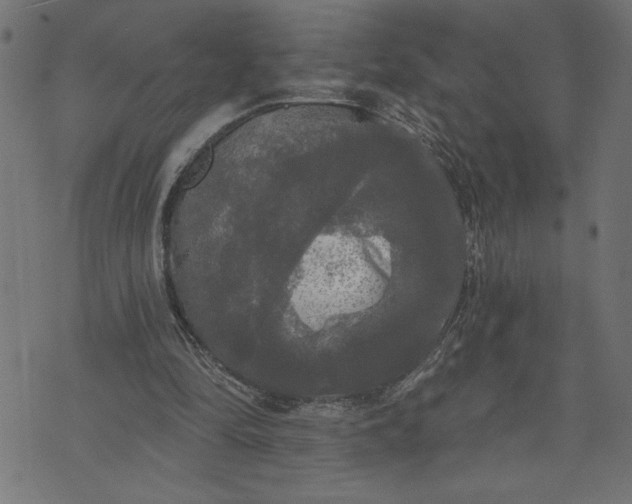 X0000070340294200606231539