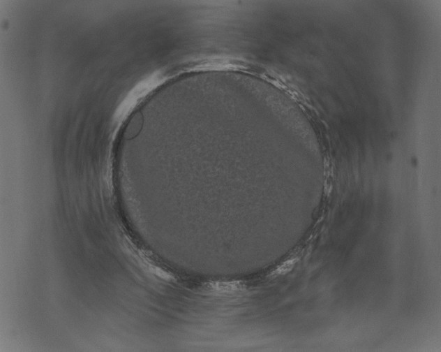 X0000070340296200606231539