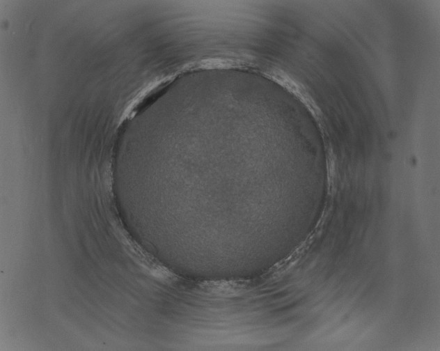 X0000070340297200606231539