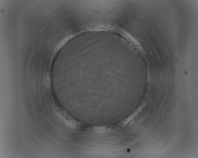 X0000070340298200606231539