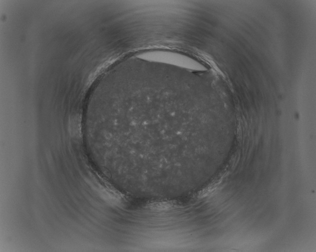 X0000070340299200606231539