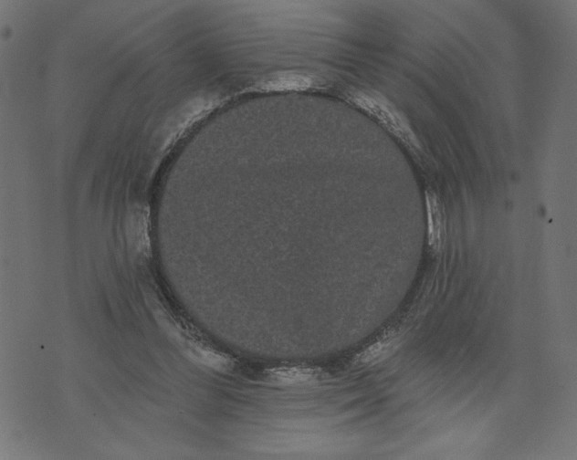 X0000070340300200606231539