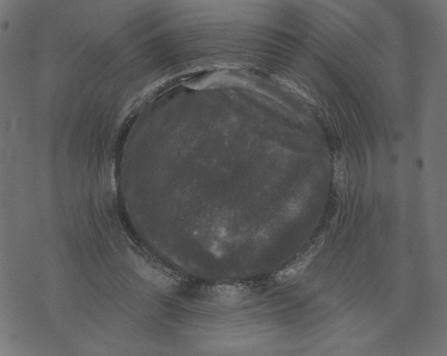 X0000070340302200606231539