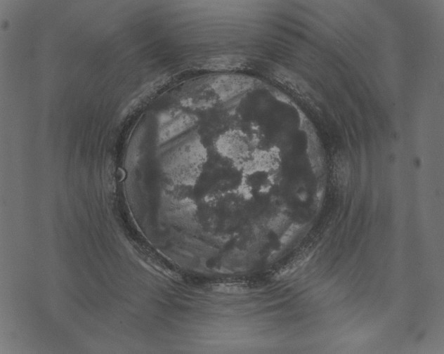 X0000070340303200606231539