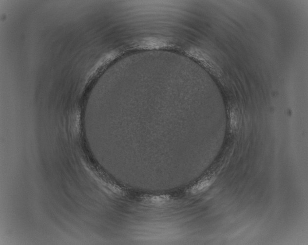 X0000070340304200606231539