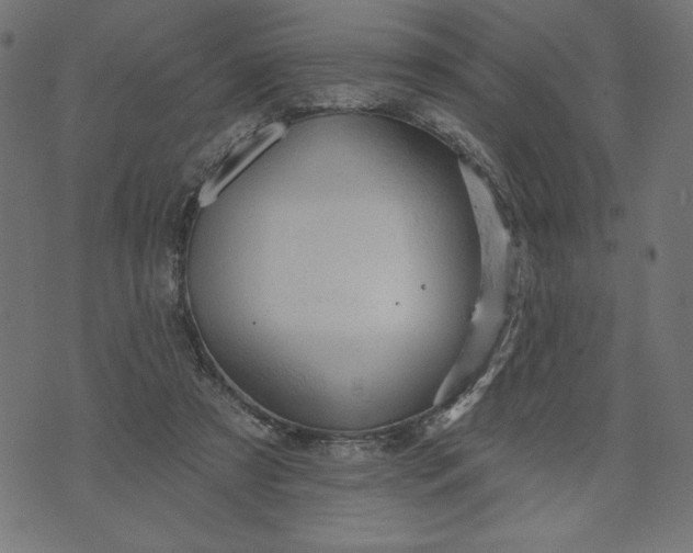 X0000070340305200606231539