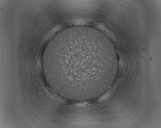 X0000070340306200606231539