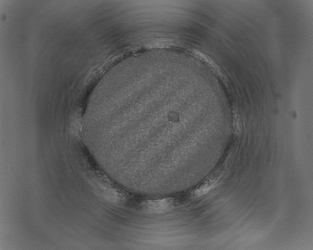 X0000070340307200606231539