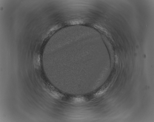 X0000070340308200606231539