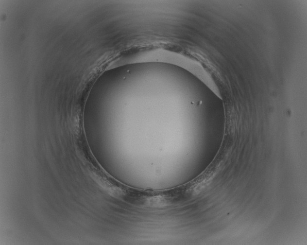 X0000070340309200606231539