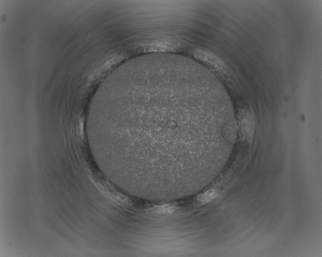 X0000070340310200606231539