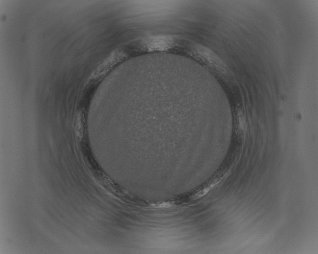 X0000070340311200606231539