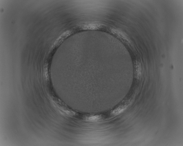 X0000070340312200606231539