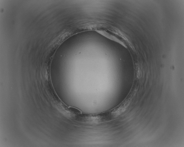 X0000070340313200606231539