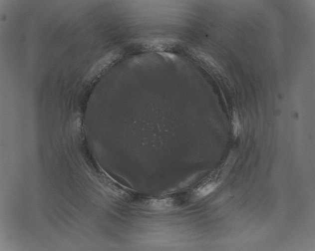 X0000070340314200606231539