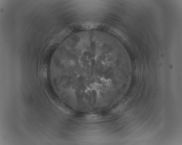 X0000070340315200606231539