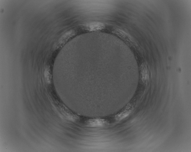 X0000070340316200606231539