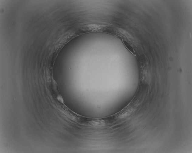 X0000070340317200606231539