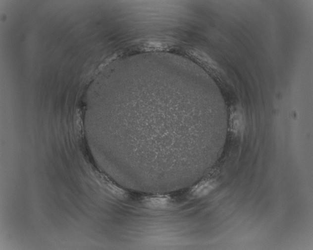 X0000070340318200606231539