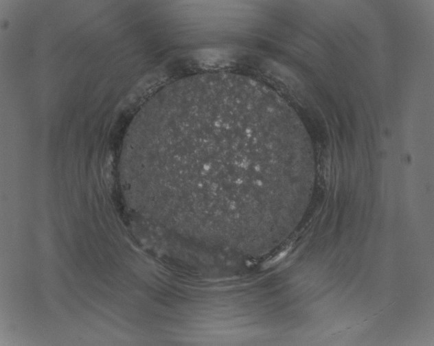 X0000070340319200606231539