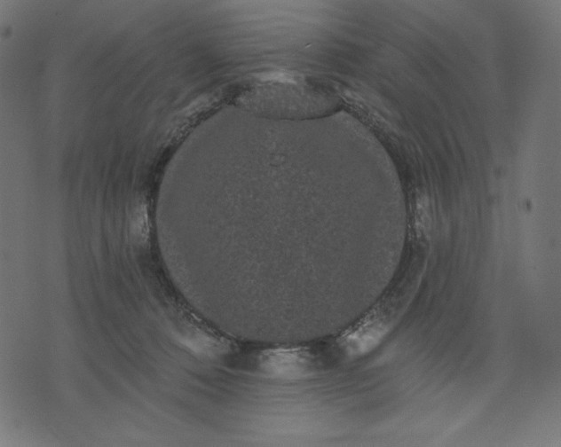 X0000070340320200606231539