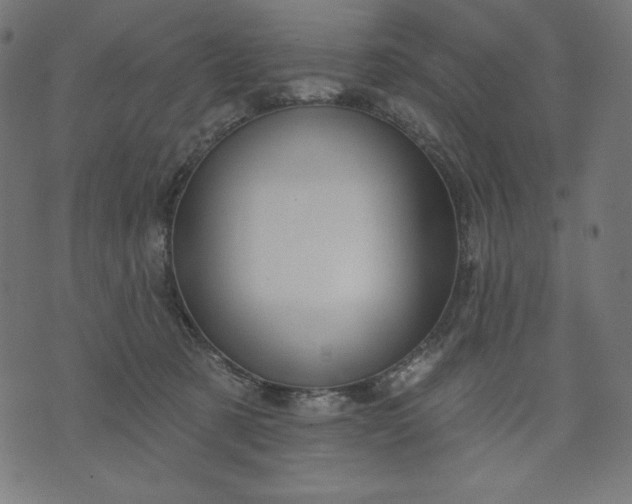 X0000070340321200606231539