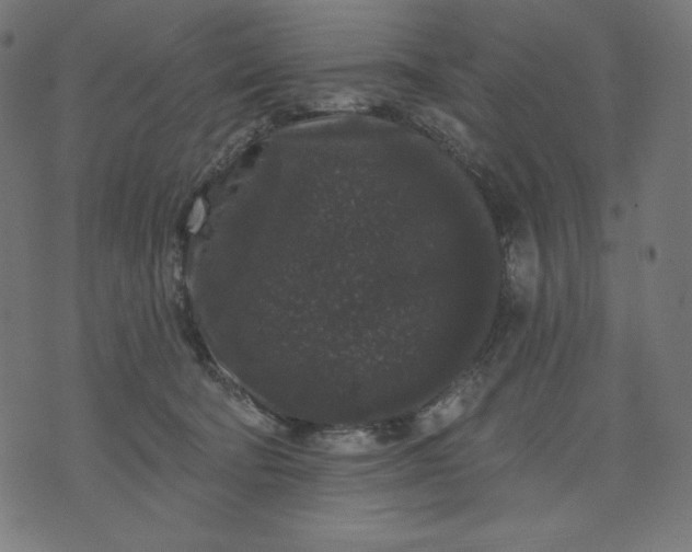 X0000070340322200606231539