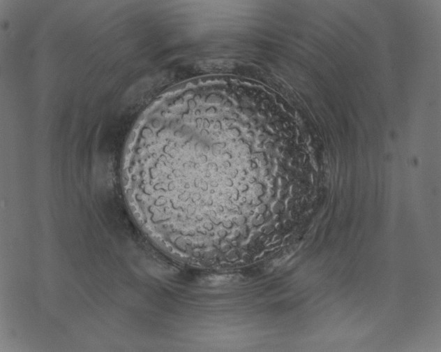 X0000070340323200606231538