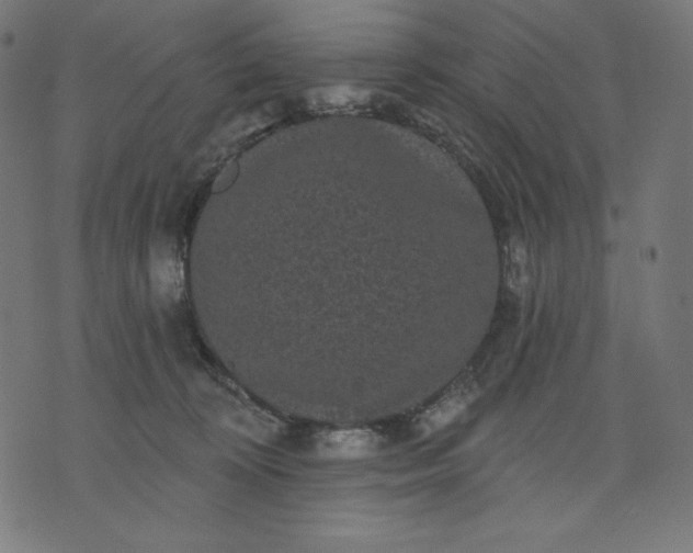 X0000070340324200606231538