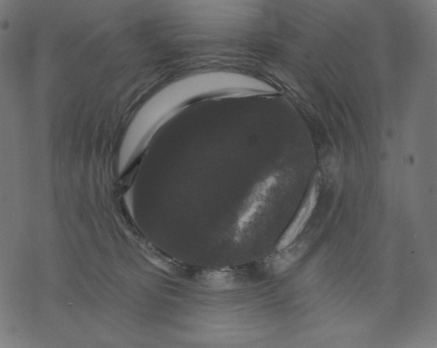 X0000070340325200606231538