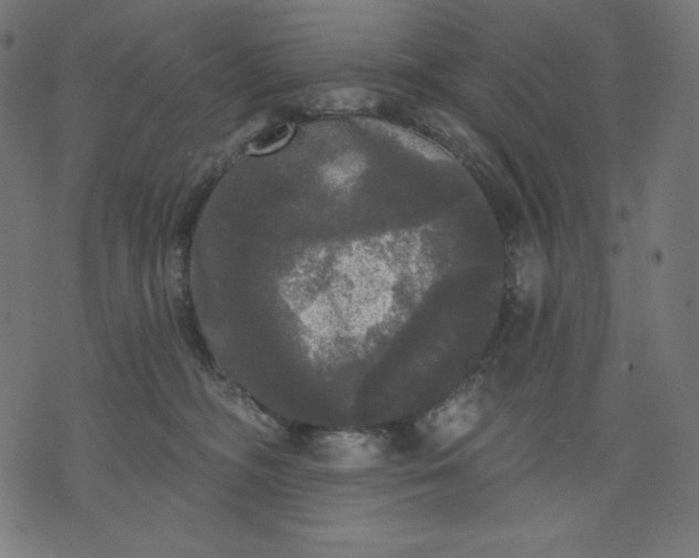 X0000070340326200606231538