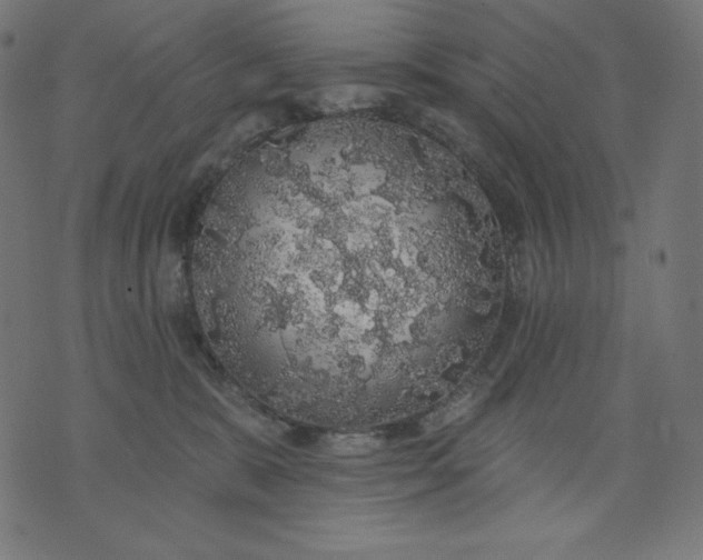 X0000070340327200606231538