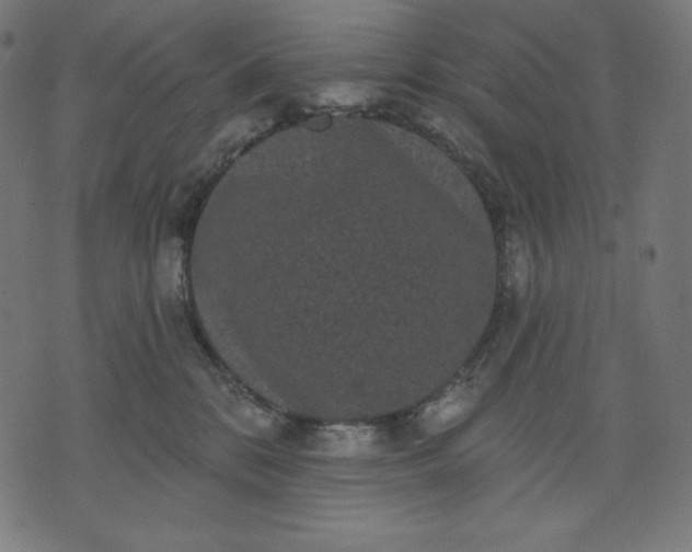 X0000070340328200606231538