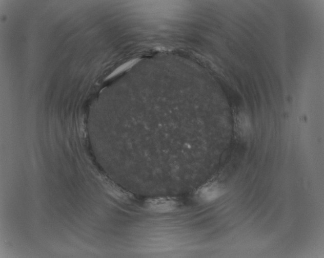 X0000070340331200606231538