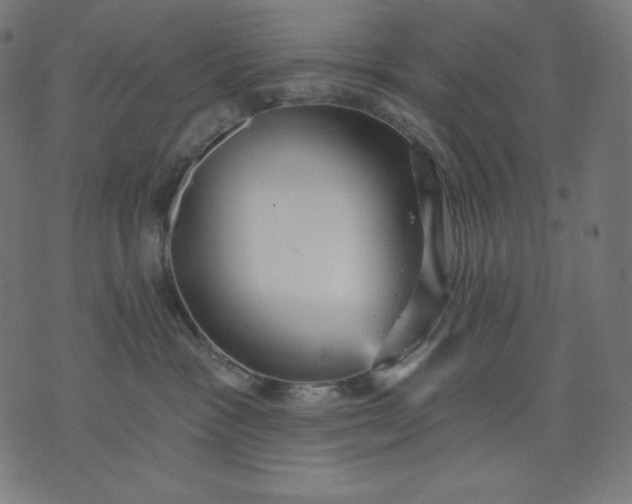 X0000070340333200606231538