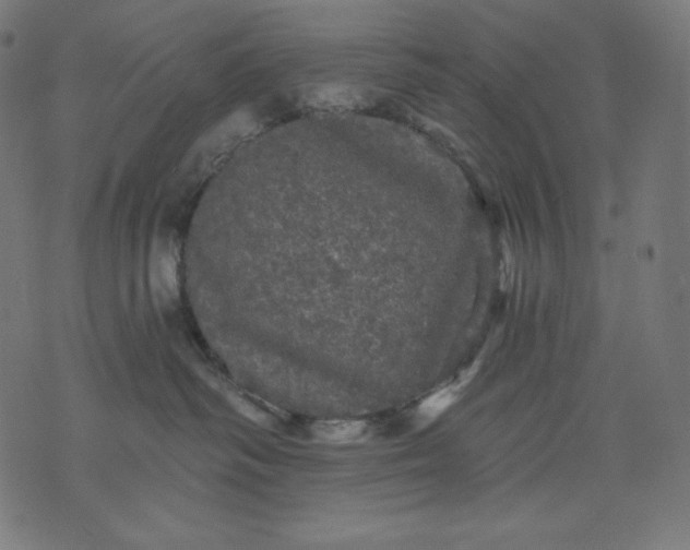 X0000070340334200606231538