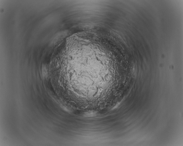 X0000070340335200606231538