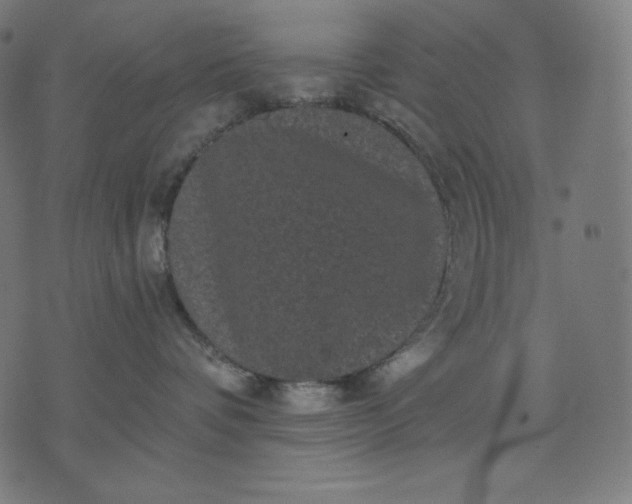 X0000070340336200606231538