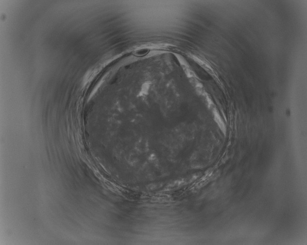 X0000070340337200606231538