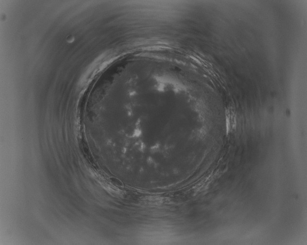 X0000070340339200606231538