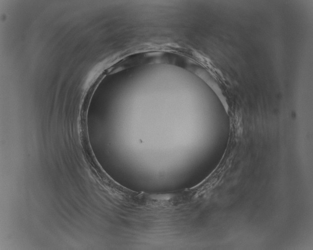 X0000070340340200606231538