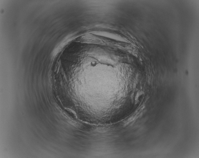 X0000070340341200606231538