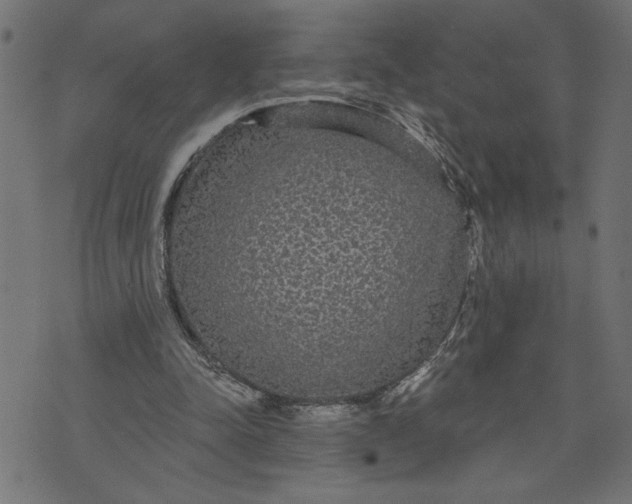 X0000070340342200606231538