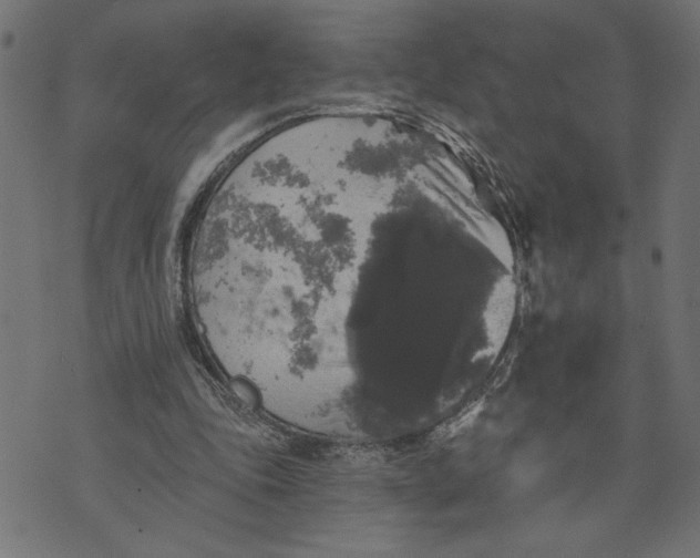 X0000070340343200606231538