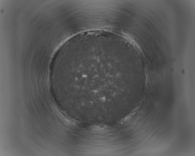 X0000070340346200606231538