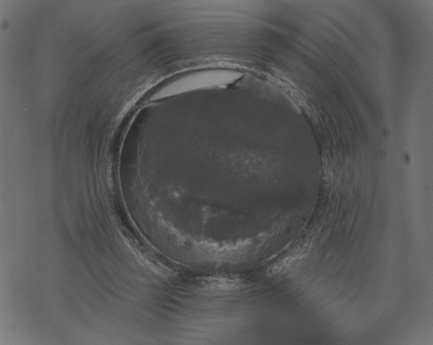 X0000070340347200606231538