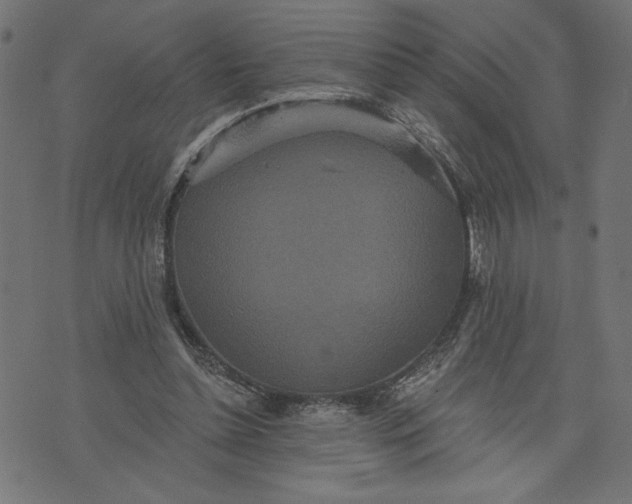 X0000070340348200606231538